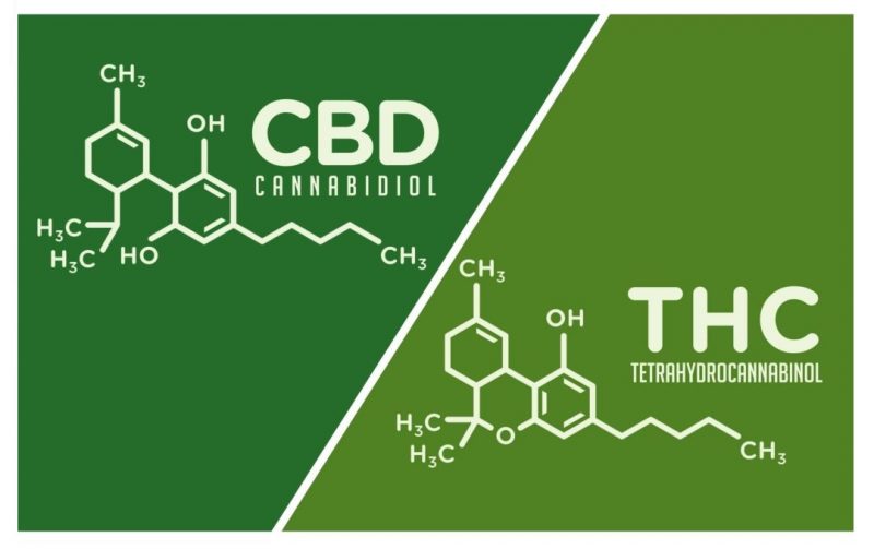 CBD vs THC: What's the Difference?