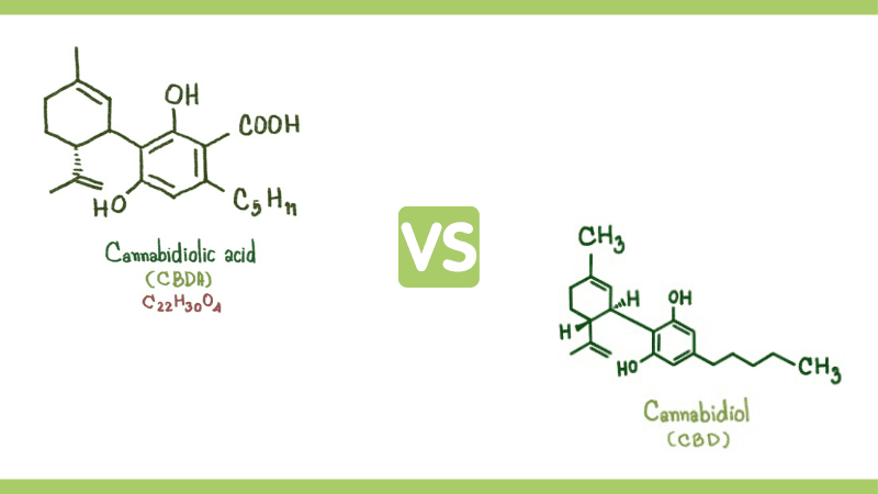 Chemical structure of CBD vs CBDa