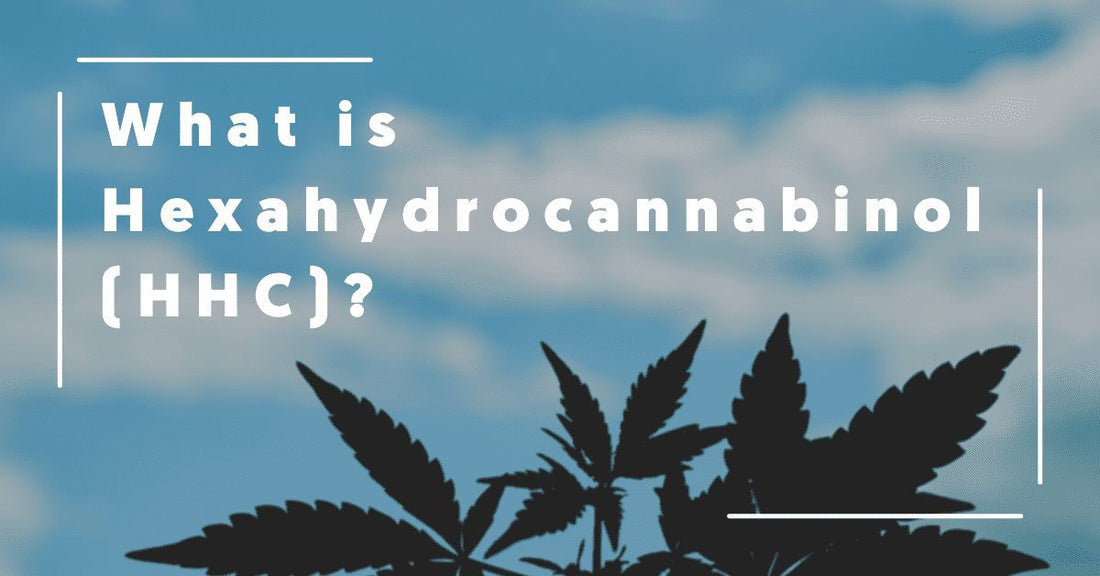 What is Hexahydrocannabinol (HHC)?