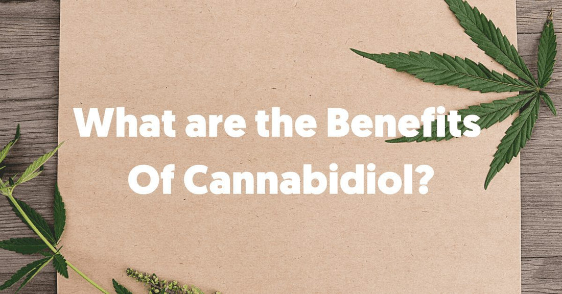 A guide to cannabidol (CBD)