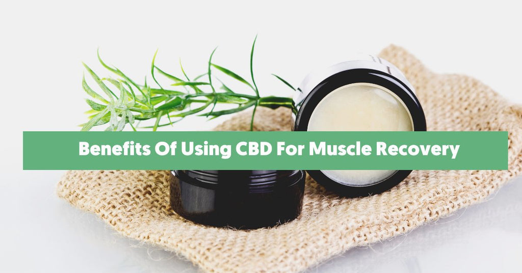 Benefits Of Using CBD For Muscle Recovery