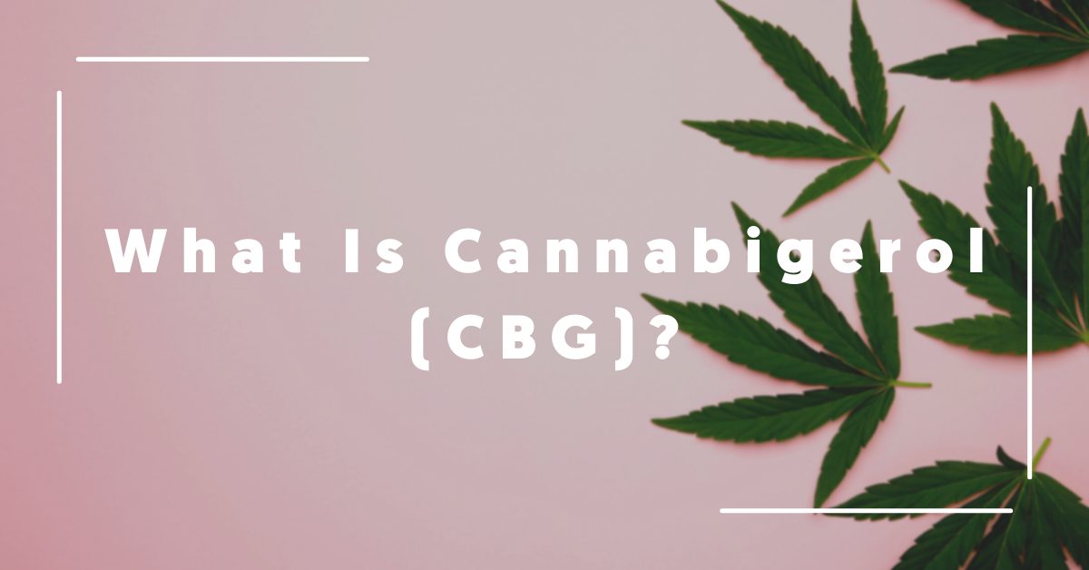 What Is Cannabigerol (CBG)?