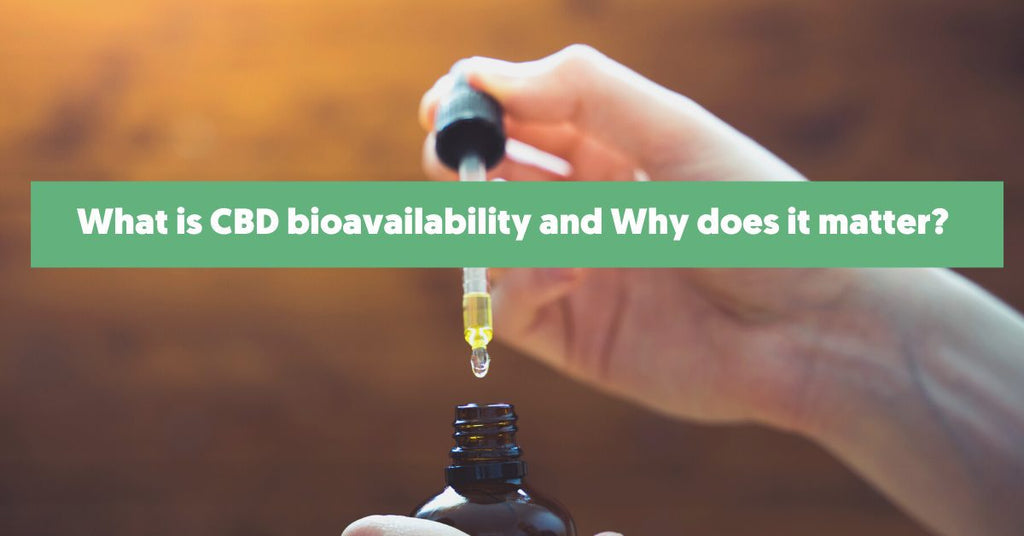 Bioavailability of CBD oil