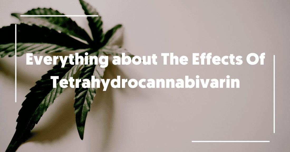 Everything about Tetrahydrocannabivarin and its Effects