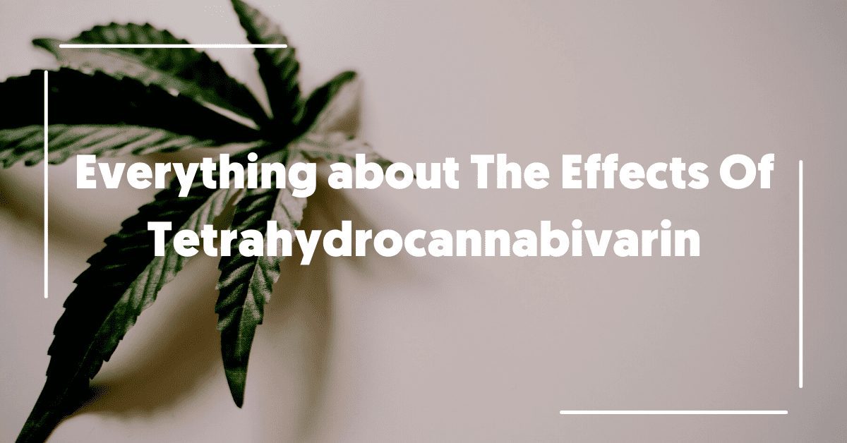 Everything about Tetrahydrocannabivarin and its Effects