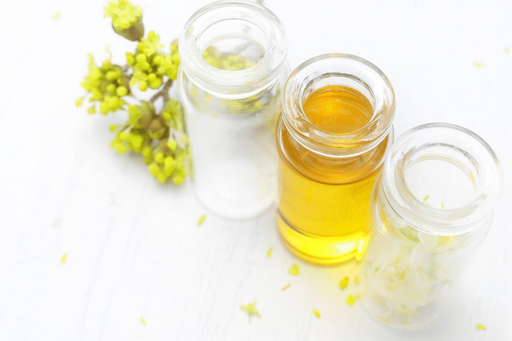 What’s the best carrier oil for CBD?