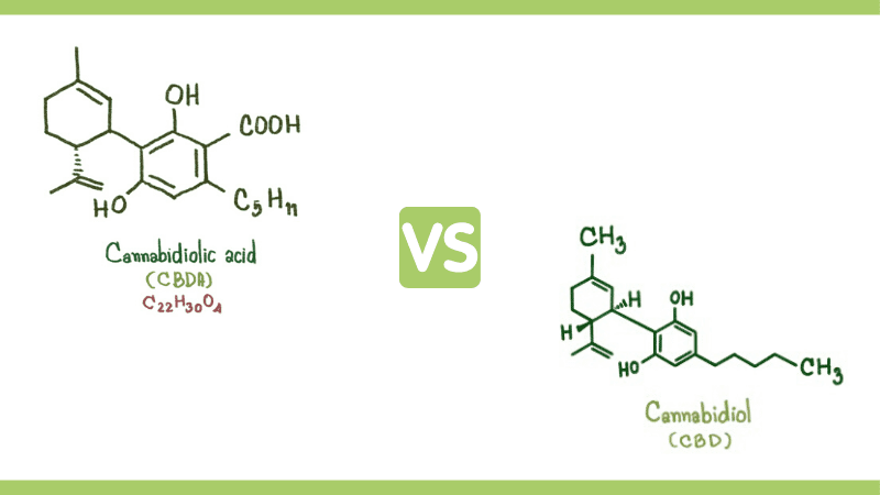 CBDa vs CBD - What's the difference?